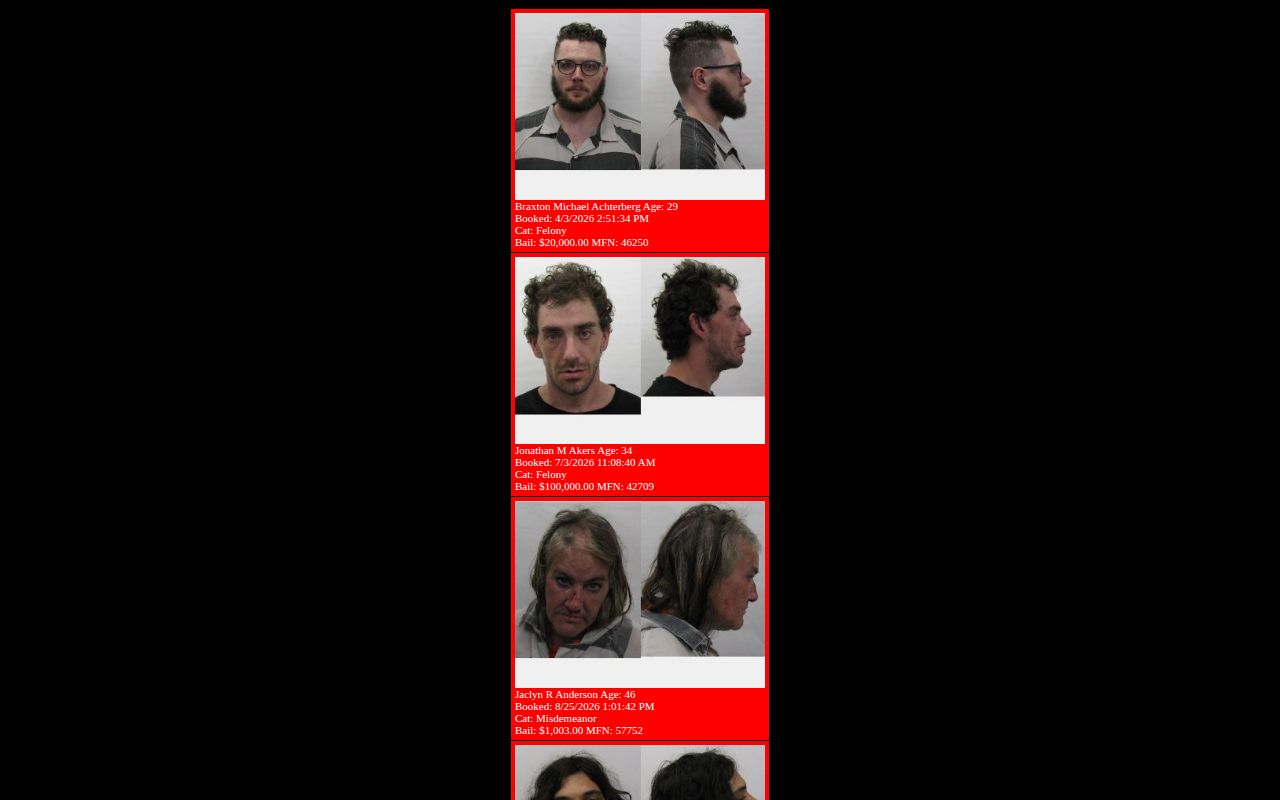 Chautauqua County Jail current custody roster and booking fields